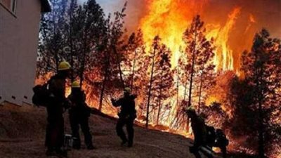 ارتفاع حصيلة ضحايا حرائق الغابات في 