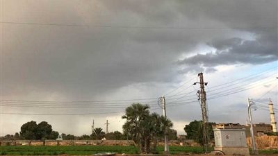 سقوط أمطار متوسطة بمراكز أسيوط (صور)