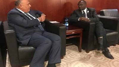 شكري يبحث مع وزير خارجية رواندا الإصلاح المؤسسي للاتحاد الأفريقي