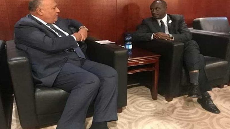 شكري يبحث مع وزير