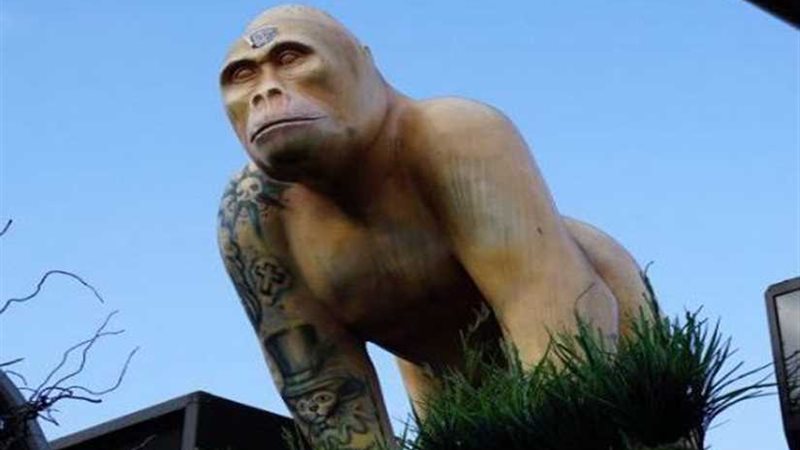 سرقة غوريلا من أشهر