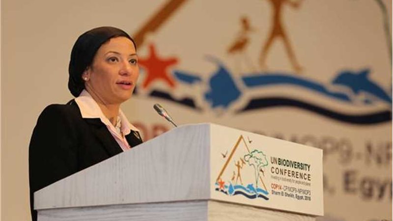 وزيرة البيئة تزرع