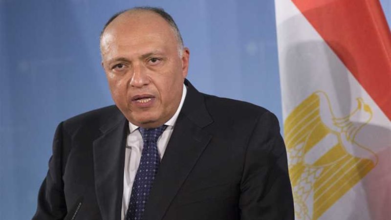 الخارجية: مصر تنضم