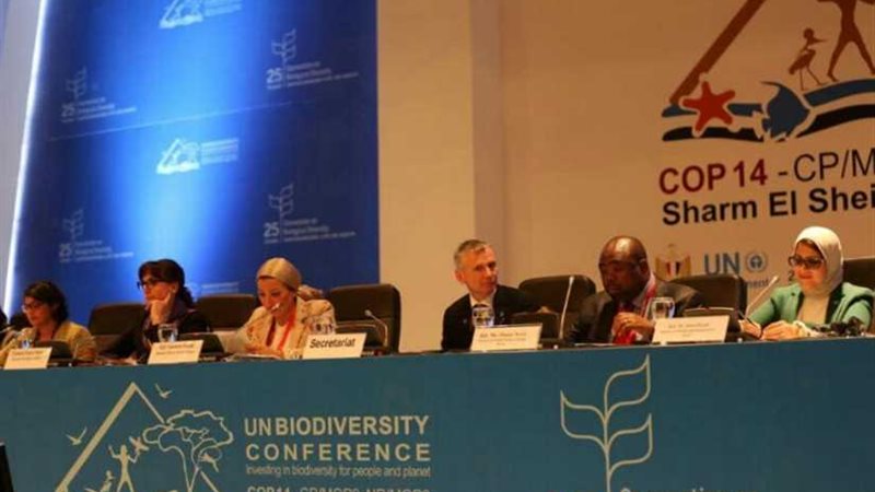 وزيرة البيئة تعلن