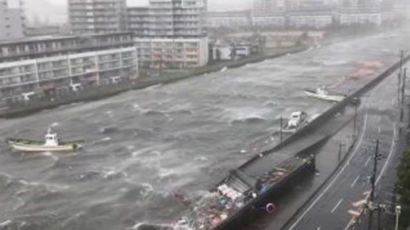 تدمير 8 آلاف منزل