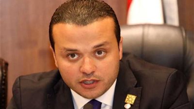 مستقبل وطن: تعزيز التعاون مع القارة الإفريقية يؤسس لقوة اقتصادية موحدة