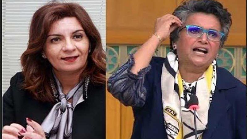 النايبة صفاء الهاشم