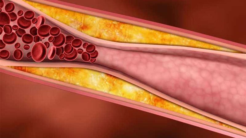 علماء الأحياء.. اكتشاف