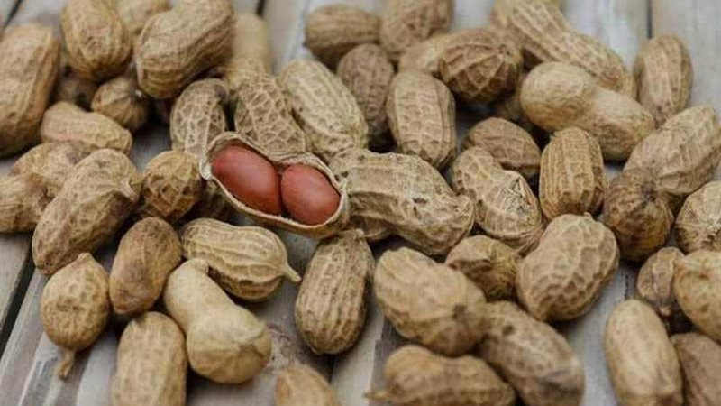 علاج جديد للتغلب