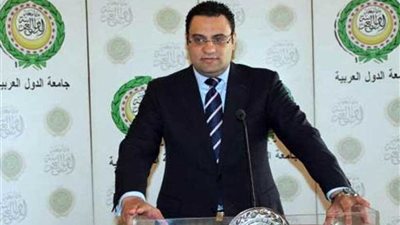 عفيفي: أجندات تركيا وإيران بسوريا شكلت مصدر إزعاج كبير في المنطقة