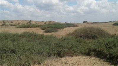 « سنجار».. جزيرة شيد قلاعها رمسيس الثاني وينهب آثارها اللصوص