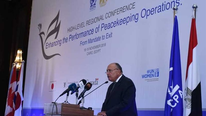 شكري: أمن وسلم وتنمية