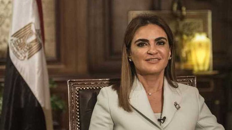 وزيرة الاستثمار: