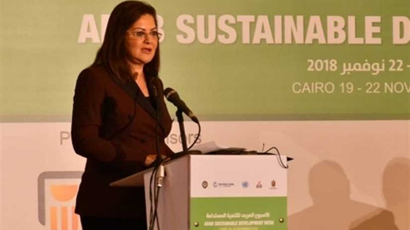 وزيرة التخطيط: يوم