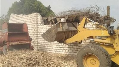 حملات مكثفة لتجميل مداخل القرى بالمنيا