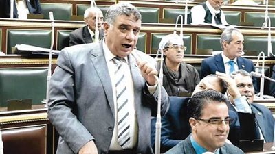 برلماني يطالب بتثبيت عمال تشجير مدينة أهناسيا ببني سويف