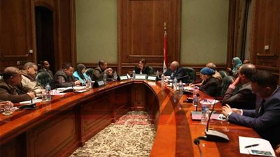 محافظ الوادي الجديد لـ 