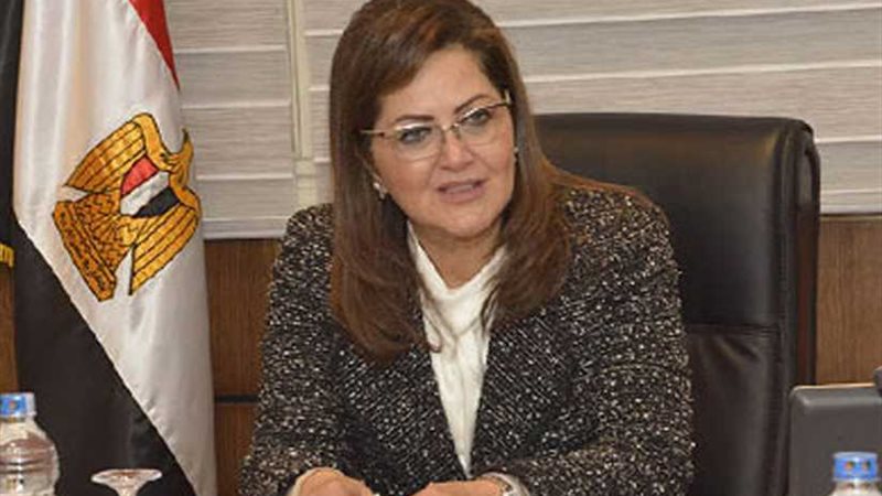 وزيرة التخطيط : رواد