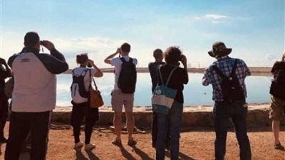 زيارات لمشاهدة الطيور المهاجرة ببحيرات الأكسدة بشرم الشيخ