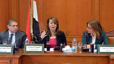 غادة والي: برنامج متكامل لمواجهة 