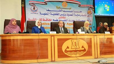 محافظ كفرالشيخ يطلق حملة لمناهضة العنف ضد المرأة