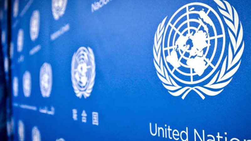 الأمم المتحدة في