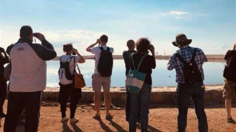 زيارات لمشاهدة الطيور