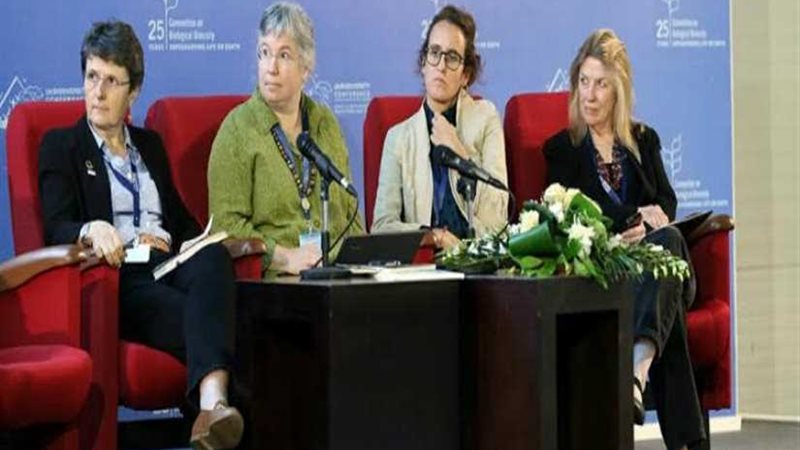 إطلاق تحدي التنوع