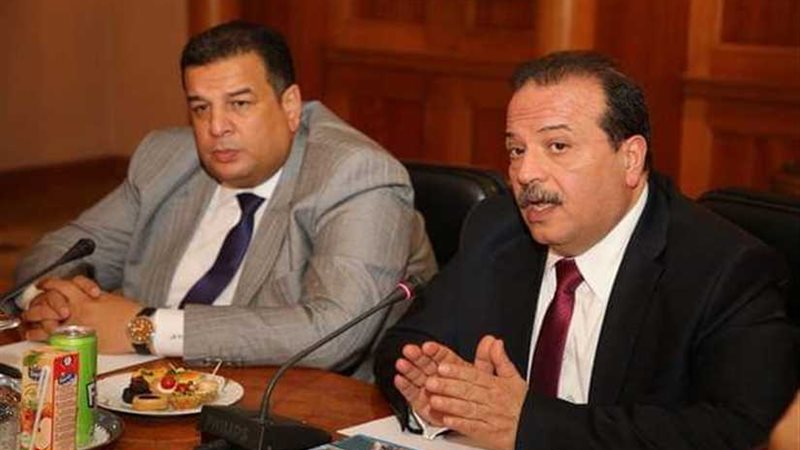 د. مجدي سبع : مشروعات