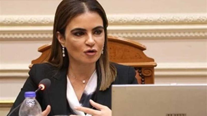 إطلاق المبادرة المصرية