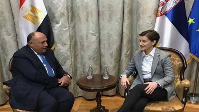 وزير الخارجية يختتم