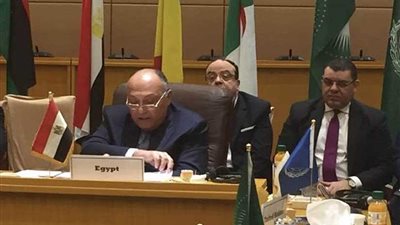 شكري يؤكد ضرورة الحفاظ على وحدة الدولة الليبية ومؤسساتها الوطنية