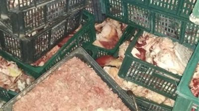 الزراعة: ضبط 123 طن أسماك ولحوم ودواجن غير صالحة في 20 محافظة