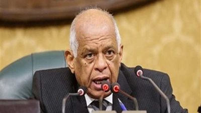 علي عبد العال: العلاقات بين مصر وفرنسا تاريخية