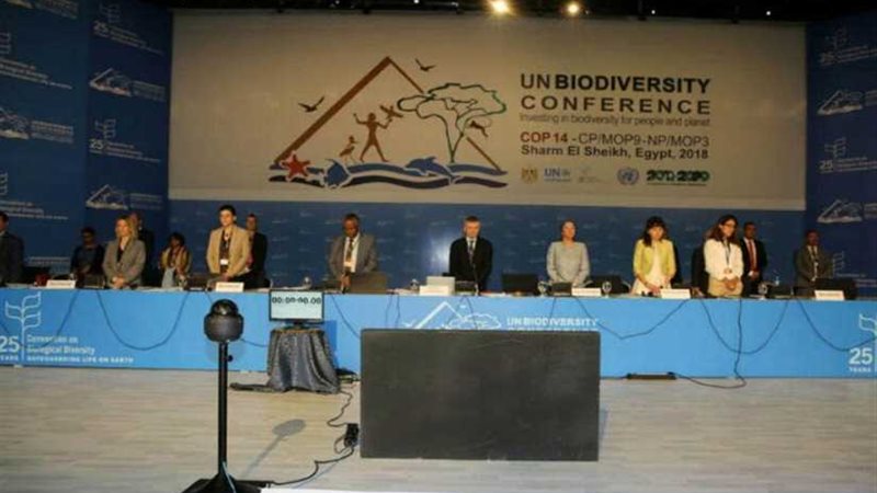 وزيرة البيئة تترأس