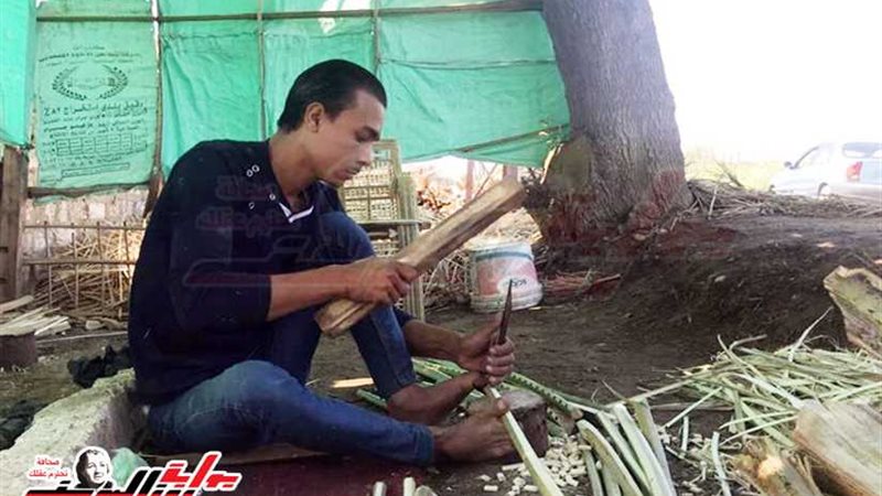 كرسي وسرير.. الفيومي