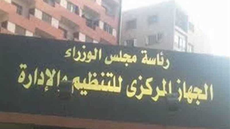 التنظيم والإدارة