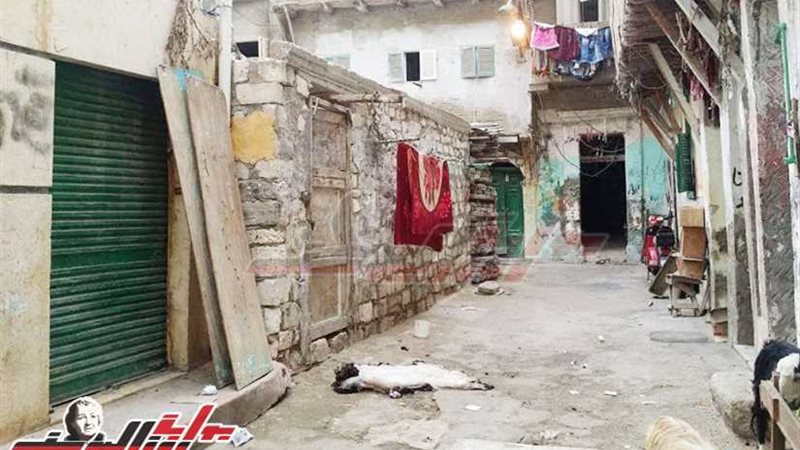 الإهمال يضرب بيت