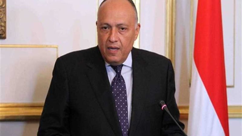 شكري يرأس وفد مصر