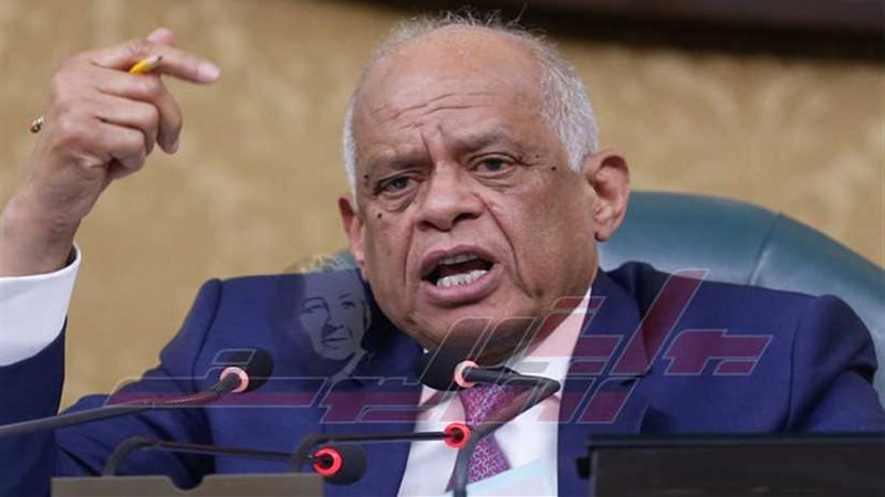 عبدالعال: مصر والسعودية