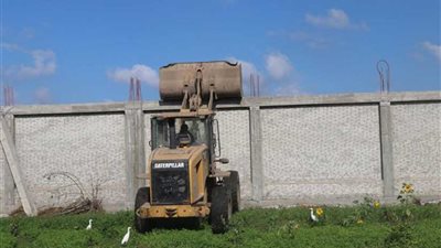 إزالة 933 حالة تعدٍ على الأراضي الزراعية بـ