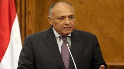 شكري: مصر تقدر مواقف الكويت لدعم العمل العربي