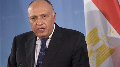 وزير الخارجية يؤكد قوة العلاقات المصرية الكويتية فى عهد الرئيس السيسي والأمير صباح