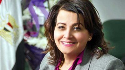 الزراعة تبحث مع وزير التجارة الأيرلندي التعاون في الإنتاج الحيواني والزراعي