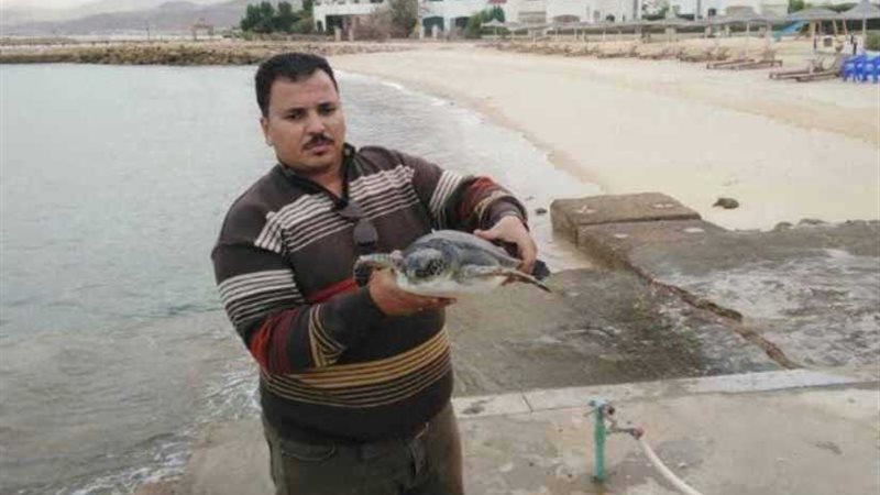 سائحة بلجيكية تساهم