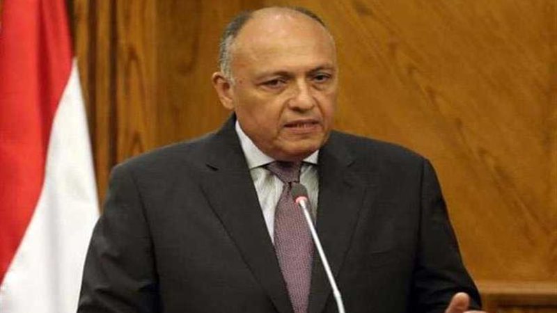 شكري: مصر تقدر مواقف