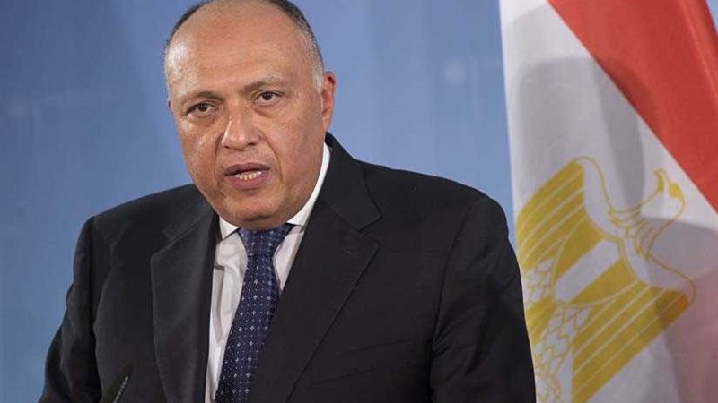 وزير الخارجية يؤكد