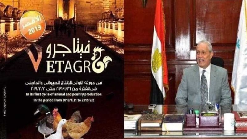 الأقصر تستقبل أول