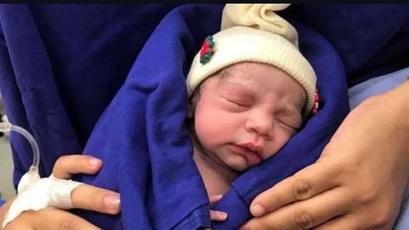 للمرة الأولى.. ولادة