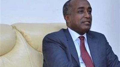 اللجنة الوطنية المصرية المعنية بليبيا تبحث مع المجلس الأعلى للدولة تسوية الأزمة الليبية